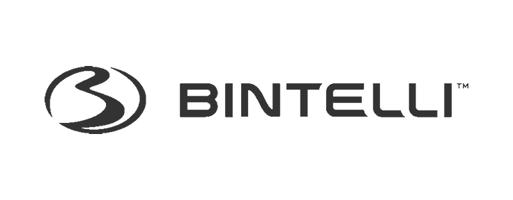 Bintelli